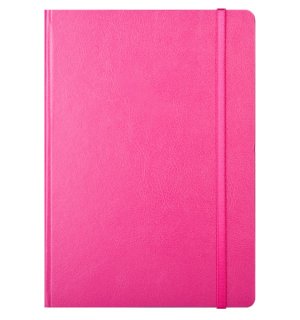 Infolio Euro business I013/fuchsia