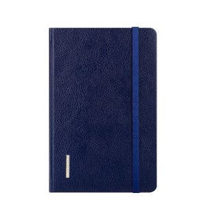 Infolio Euro business I003/blue