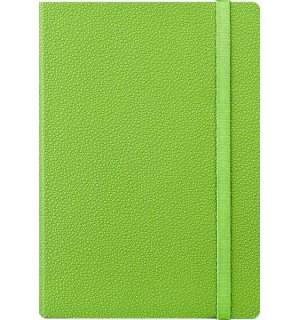 Infolio Froggy I087/light-green