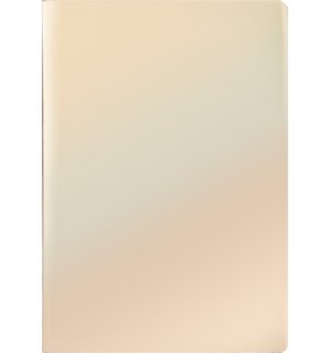 Infolio Mirror I091/gold