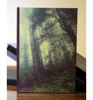 Kraftbook Скетчбук Туманный лес А5