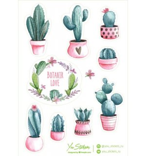 Succulents. Лист виниловых наклеек А5