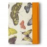 Записная книжка «Европа — Бабочки» А5-