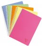 Clairefontaine Notebook Linicolor A5, в клетку