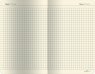 Infolio Bland&Skin I009/beige