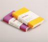 Rhodia Rhodiarama Mini Notebooks (x2), в линейку