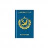 teNeues Passport Absurdistan