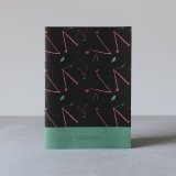 Falafel books тетрадь в линейку Abstract Cherry A5