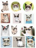 Сердитый кот (Grumpy Cat). Лист виниловых наклеек А4