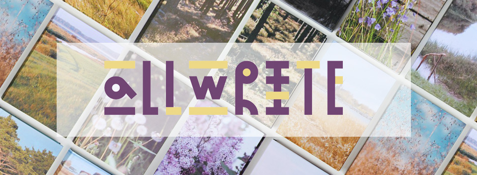 all write